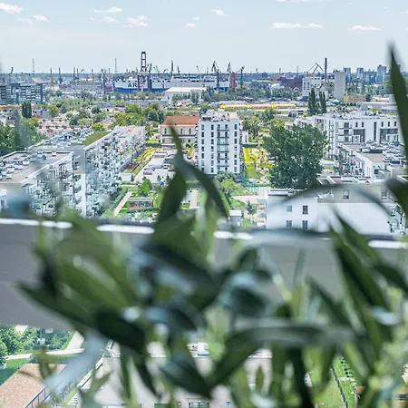 Sea View Premium - Billberry