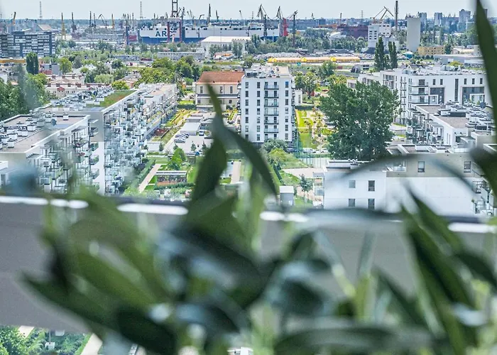 Sea View Premium - Billberry